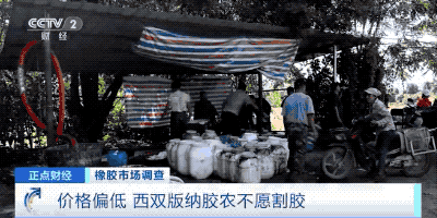 动力煤日内涨超10%！这种原料，价格每吨涨超2000元，农民却纷纷放弃它？(图3)