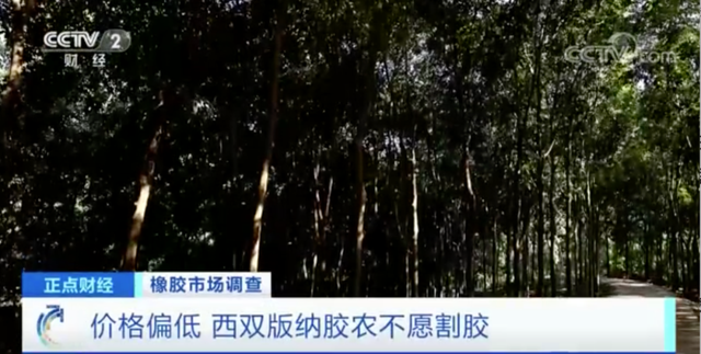 动力煤日内涨超10%！这种原料，价格每吨涨超2000元，农民却纷纷放弃它？(图4)