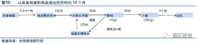 猪周期又开始了？(图8)