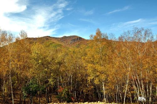伦敦原油期货实时行情 纽约原油cfd期货行情!(图7) 伦敦原油期货实时行情 纽约原油cfd期货行情!(图7)