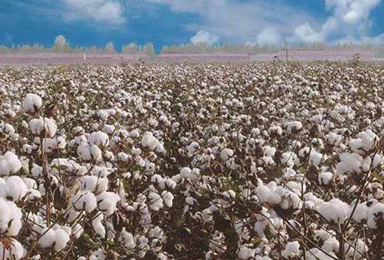 上市期货期权数量