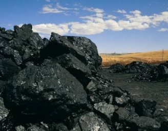 焦炭焦煤期货持稳运行 动力煤期货向好运行