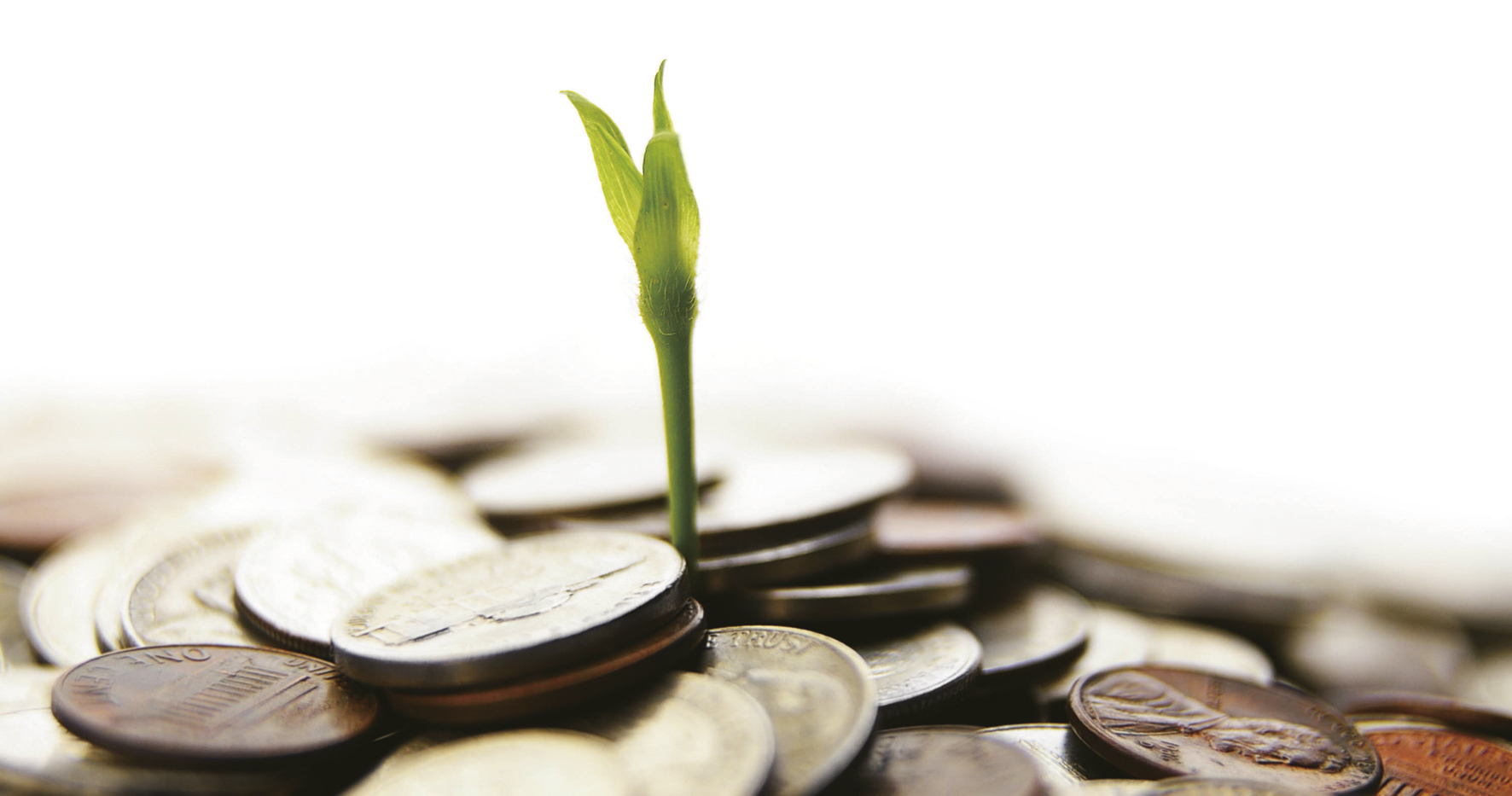 学会掌握看盘技巧，顺势而为必成股市高手(图2)