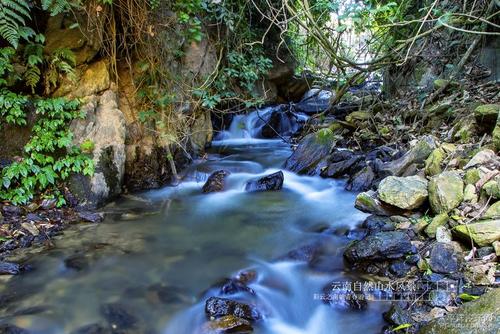 国际原油价格走势图(苹果期货是什么意思)(图2) 国际原油价格走势图(苹果期货是什么意思)(图2)