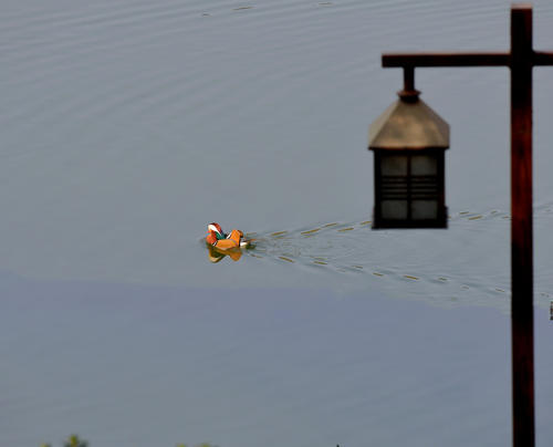 国际原油价格走势图(苹果期货是什么意思)(图5) 国际原油价格走势图(苹果期货是什么意思)(图5)