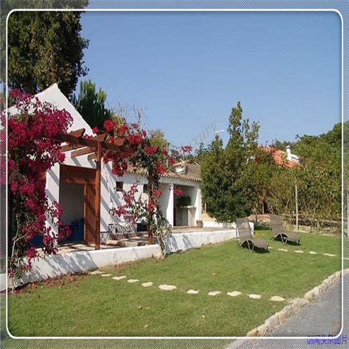 期货怎么玩(期货手续费一览表2021)(图1) 期货怎么玩(期货手续费一览表2021)(图1)