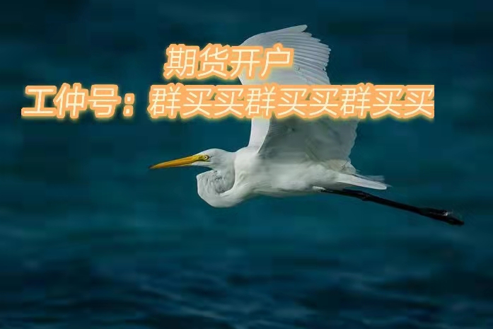 恒指期货在国内怎样办理开户-恒指期货开户的条件。 (图1)