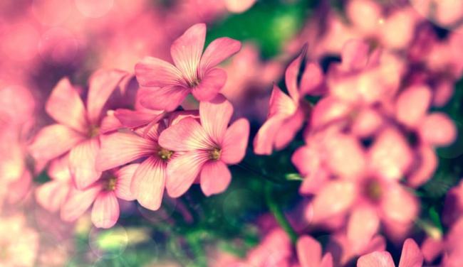 期货交易的成功更多是理念上的成功(图1)