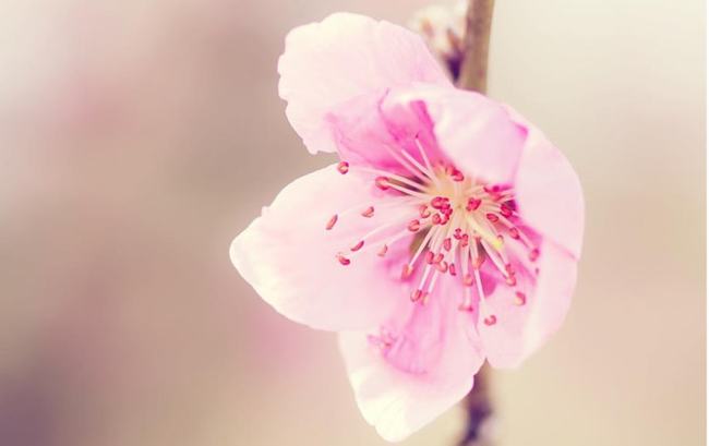 期货交易的成功更多是理念上的成功(图2)