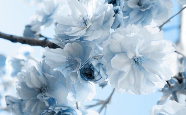 期货交易的成功更多是理念上的成功(图3)