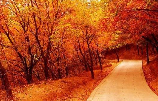 50ETF期权需要什么条件,有什么技巧才可以买(图3) 50ETF期权需要什么条件,有什么技巧才可以买(图3)