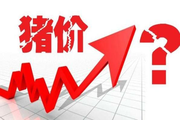 猪价高位滞涨，动力严重不足，甚至无力支撑，恐造成猪价“崩塌”(图3)