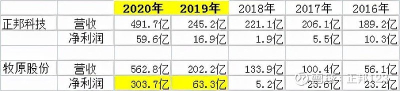 猪周期最关键的投资特征(图13)