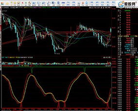 哪个股票软件有sar功能(图3)