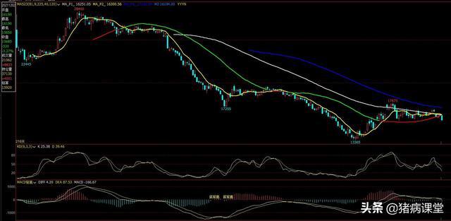 期货大跳水，现货企稳，生猪价格走势迷茫(图4)