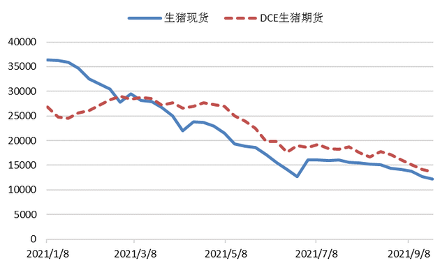 2021年生猪市场现状及相关金融产品支持(图1)