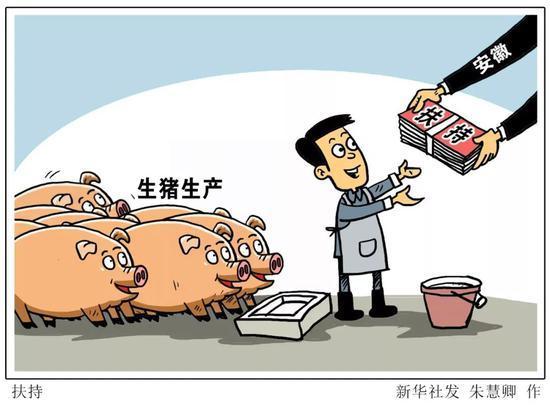 2021年生猪市场现状及相关金融产品支持(图3)