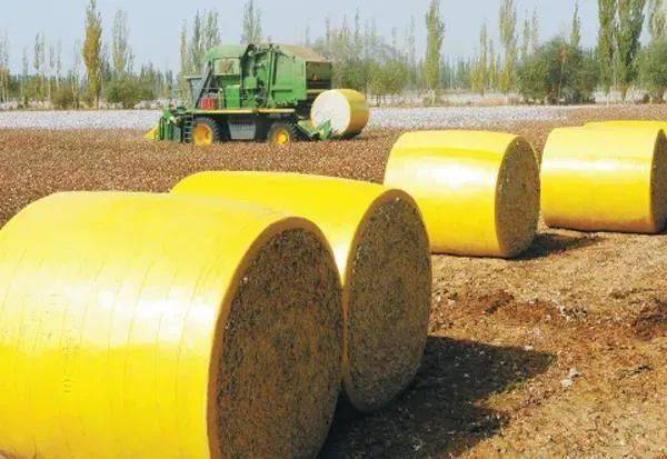 2022年棉价会达到10元吗?(图1) 2022年棉价会达到10元吗?(图1)