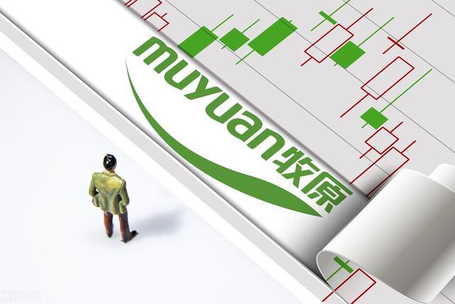 猪肉板块已经在地板上趴很久了,何时才能真正开启上涨行情?(图3) 猪肉板块已经在地板上趴很久了,何时才能真正开启上涨行情?(图3)