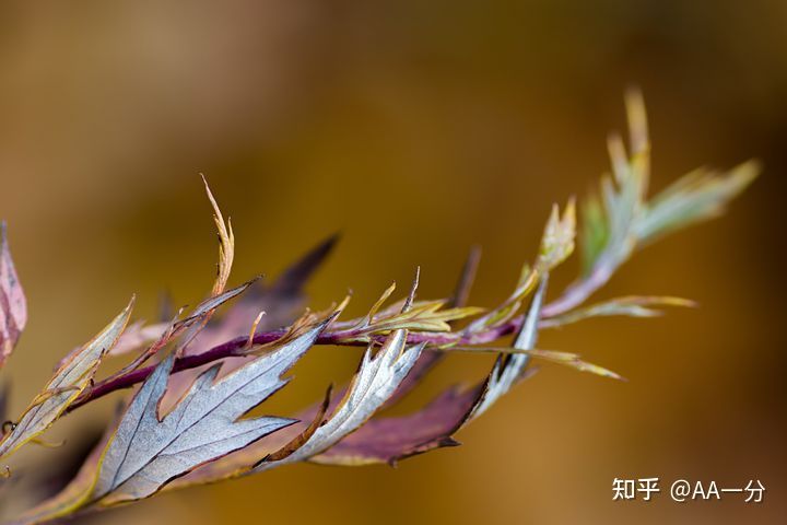 想做期货，请问国内可靠的期货交易平台有哪些？(图1)