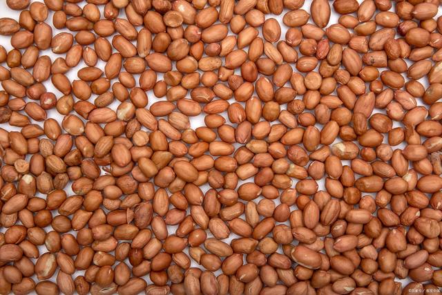 花生期货跌破8000关口,为何单边走势成常态?(图1) 花生期货跌破8000关口,为何单边走势成常态?(图1)