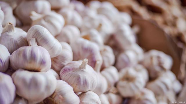 花生期货跌破8000关口,为何单边走势成常态?(图2) 花生期货跌破8000关口,为何单边走势成常态?(图2)