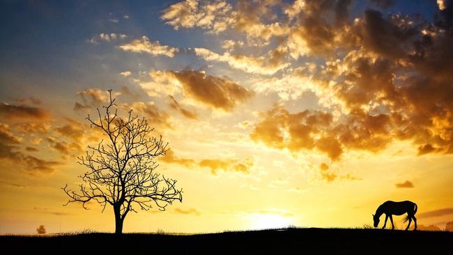 50etf期权在交易所开户有多少条门槛？在其他平台呢？(图2)