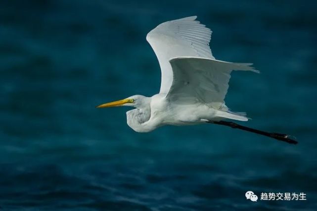 如何建立正确的趋势交易理念(图1) 如何建立正确的趋势交易理念(图1)