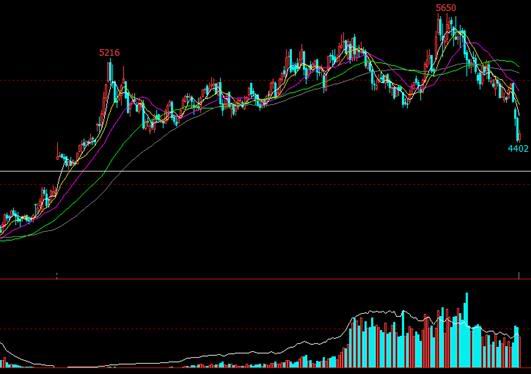 PTA成本需求双重走弱(图21)