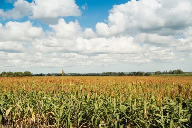 期货交易应有的八个心态(图1) 期货交易应有的八个心态(图1)