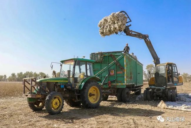 2022年棉价怎么走？(图3)